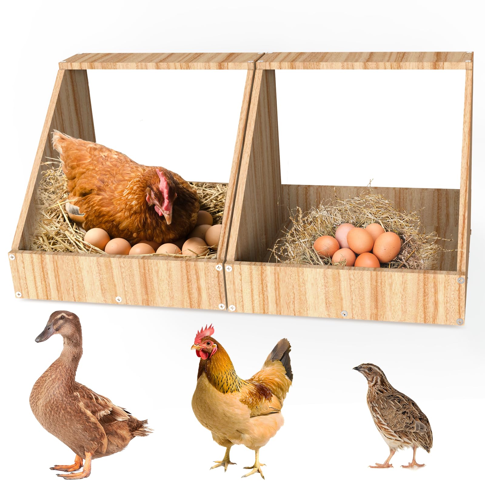 Carbonizzate E Verniciate Nidi Per Galline Ovaiole, 2 Pezzi | 35,3 x 35,3 x 34,2 cm, Nidi Per Galline Da Parete, Creano Un'area Di Raccolta Sicura Per Le Uova Deposte, Nido Per Galline