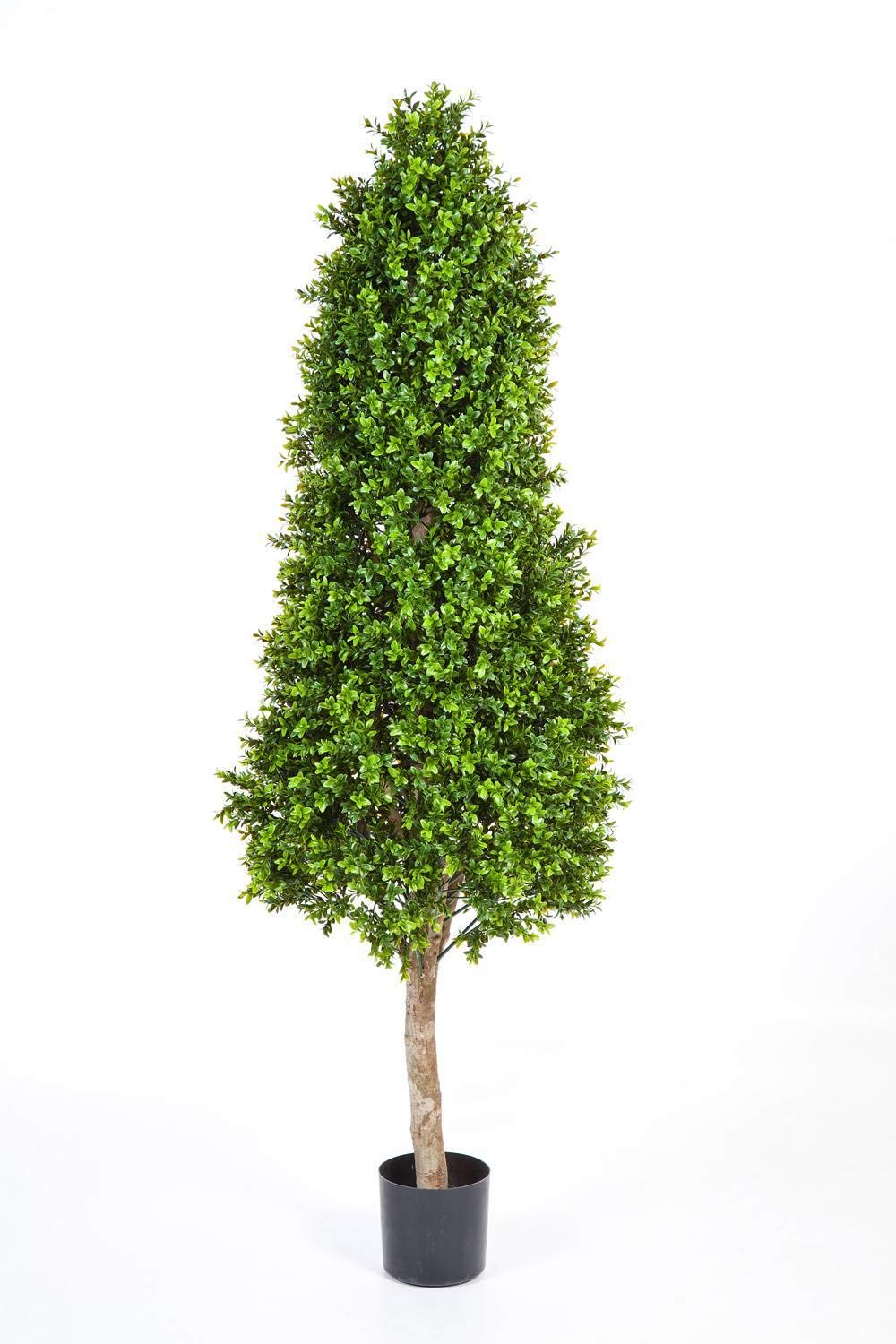 artplants.de Spitzer Kunst Buchsbaum Tom, 3420 Blätter, grün, 170cm | Buchsbaum künstlich
