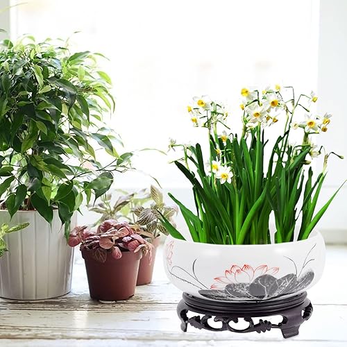 Miniatura 4 de Veemoon Cerámica Water Lily Bowl Narciso Nautance Moneda de cobre Hierba Maceta con soporte Lotus Contenedor hidropónico Narciso Bonsái Maceta para