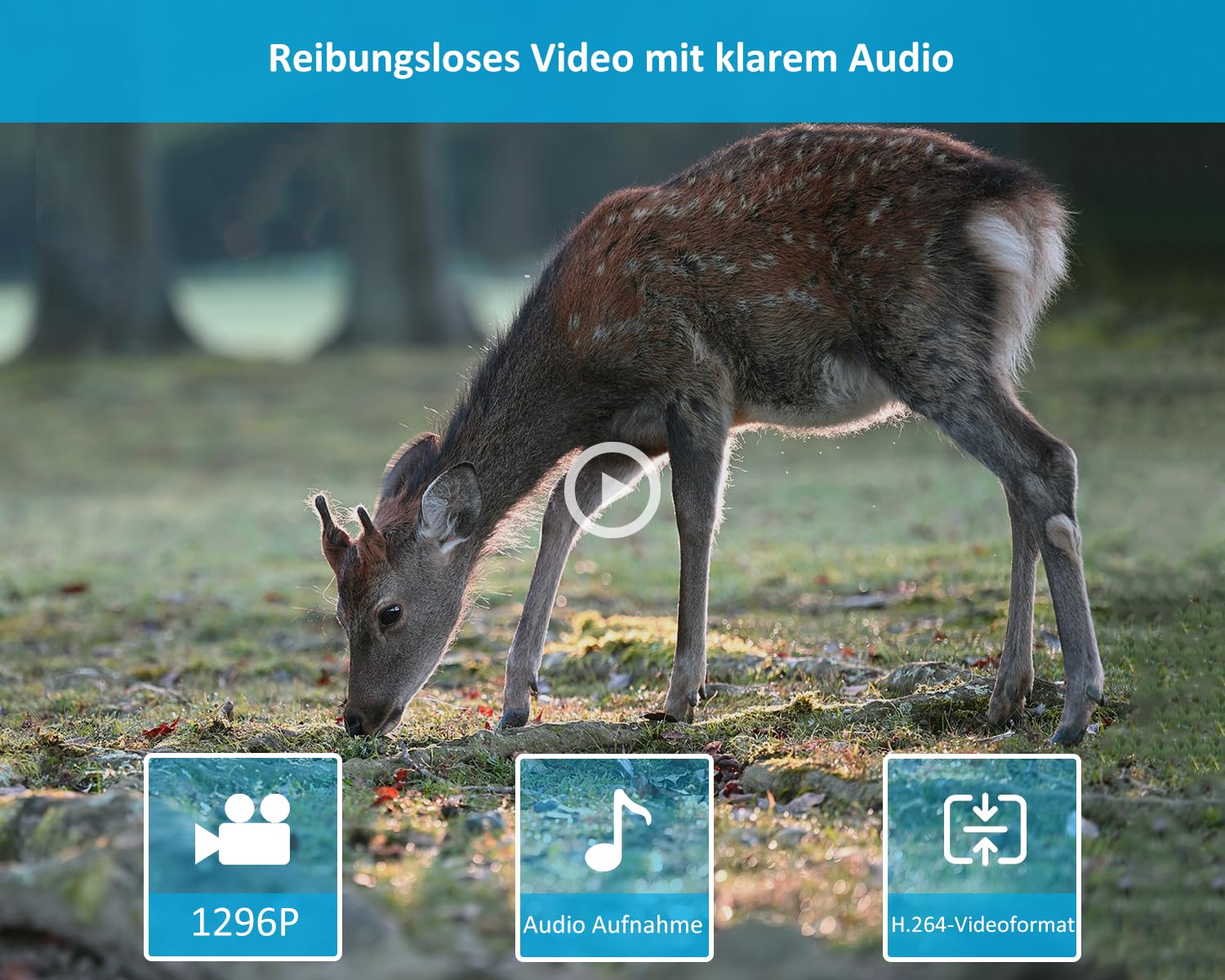 GardePro E5S Wildkamera 64MP 1296P H.264 Video, Wildtierkamera mit Bewegungsmelder Nachtsicht bis 30m, No-Glow 940nm IR LEDs, 0,1s Schnelle Trigger, IP66 Wasserdicht