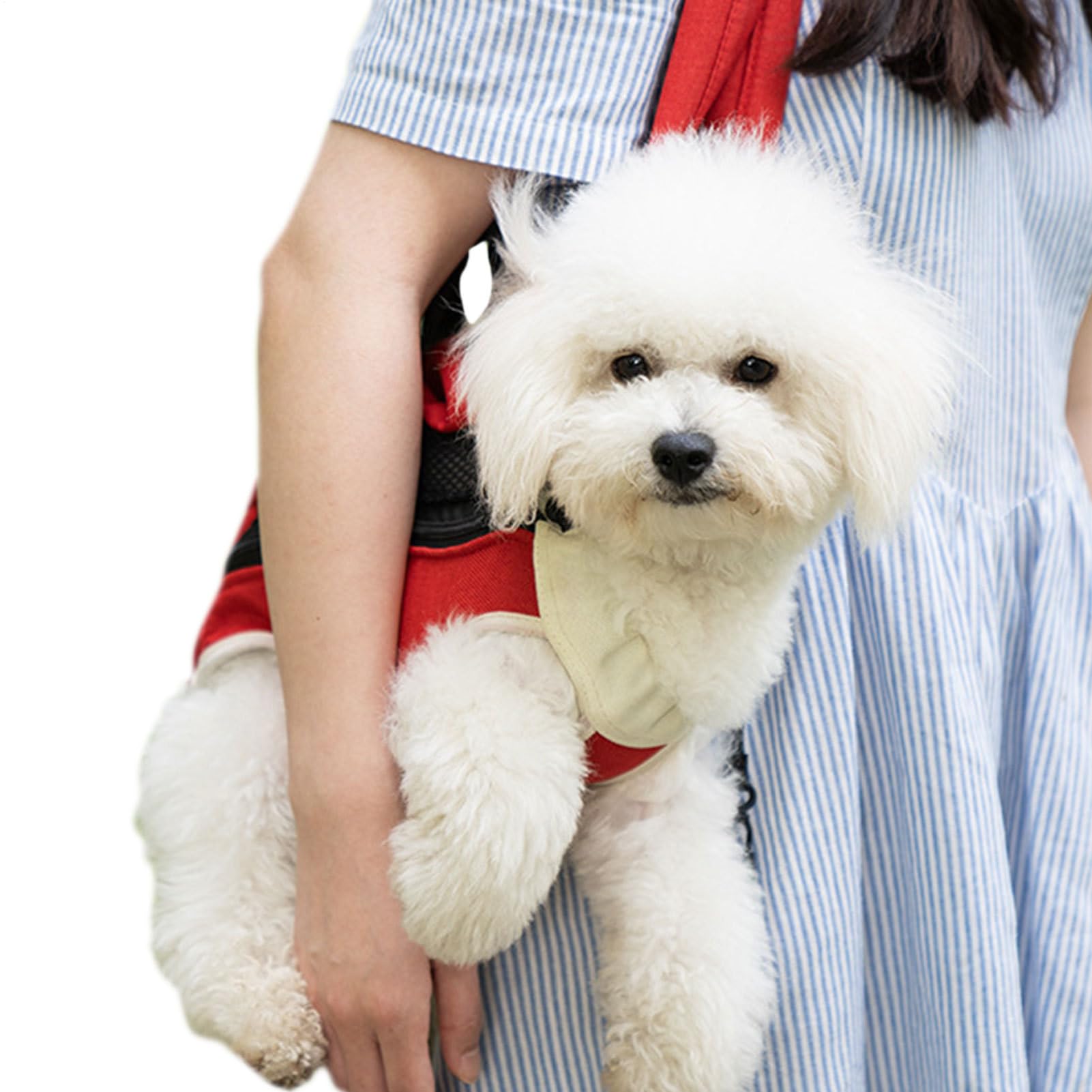 Bolsa de gato y perros pequeños que elimina el estrés del transporte con soporte firme