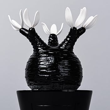 Amazon.co.jp: 【期間限定 20%OFF】MEDICOM TOY × BOTANIZE 植物 Amazon.co.jp: 【期間限定 20%OFF】MEDICOM TOY × BOTANIZE 植物