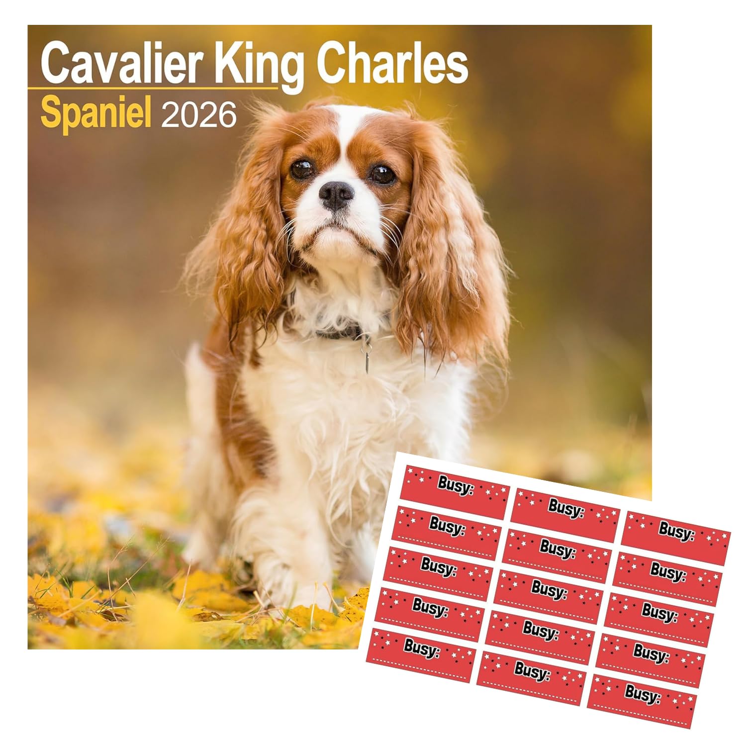 Cavalier King Charles Spaniel Calendar 2026 | 16 months | with FREE Organisational Stickers
