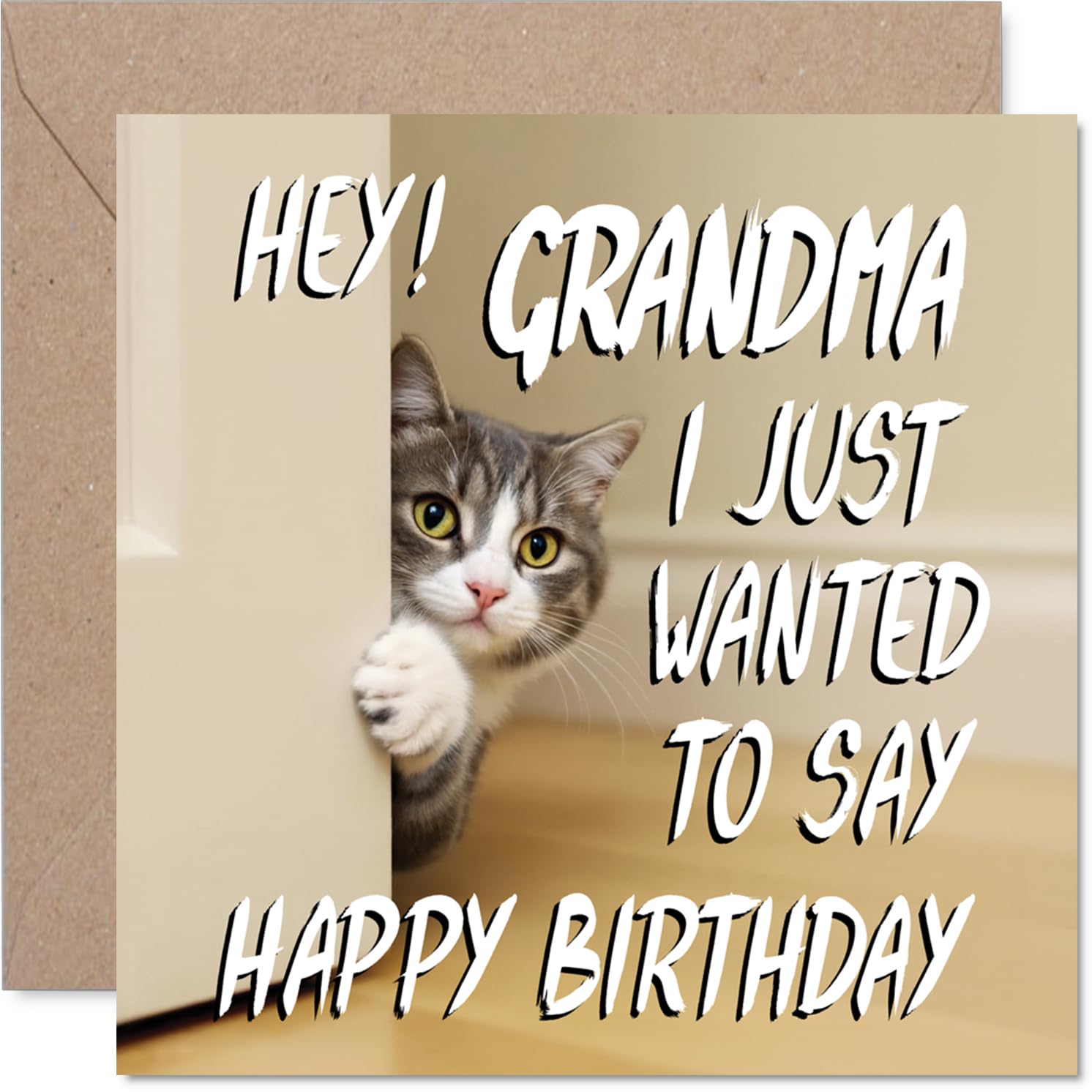 Grandma Birthday Card - Cute Cat Peekaboo - Happy Birthday Card for Grandma from Grandson Granddaughter, 145mm Lovable Kitty Bday Greeting Cards