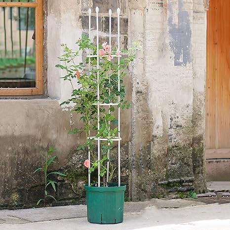 Amazon Co Jp 1pcs 植物支柱 オベリスクガーデントレリスプラントサポート 耐候性 花支え 装飾 Diy エクステリア バラ ツルバラ つるばら 薔薇 ガーデンアーチ 園芸 支柱 金属製 簡易組立式 ガーデニング用支柱 高さ110cm 140cm 170cm Color White Size 29x170cm