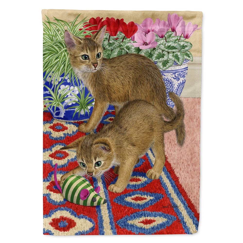 Abyssinian Kitten Flag exprimez votre amour des chats avec ce grand drapeau