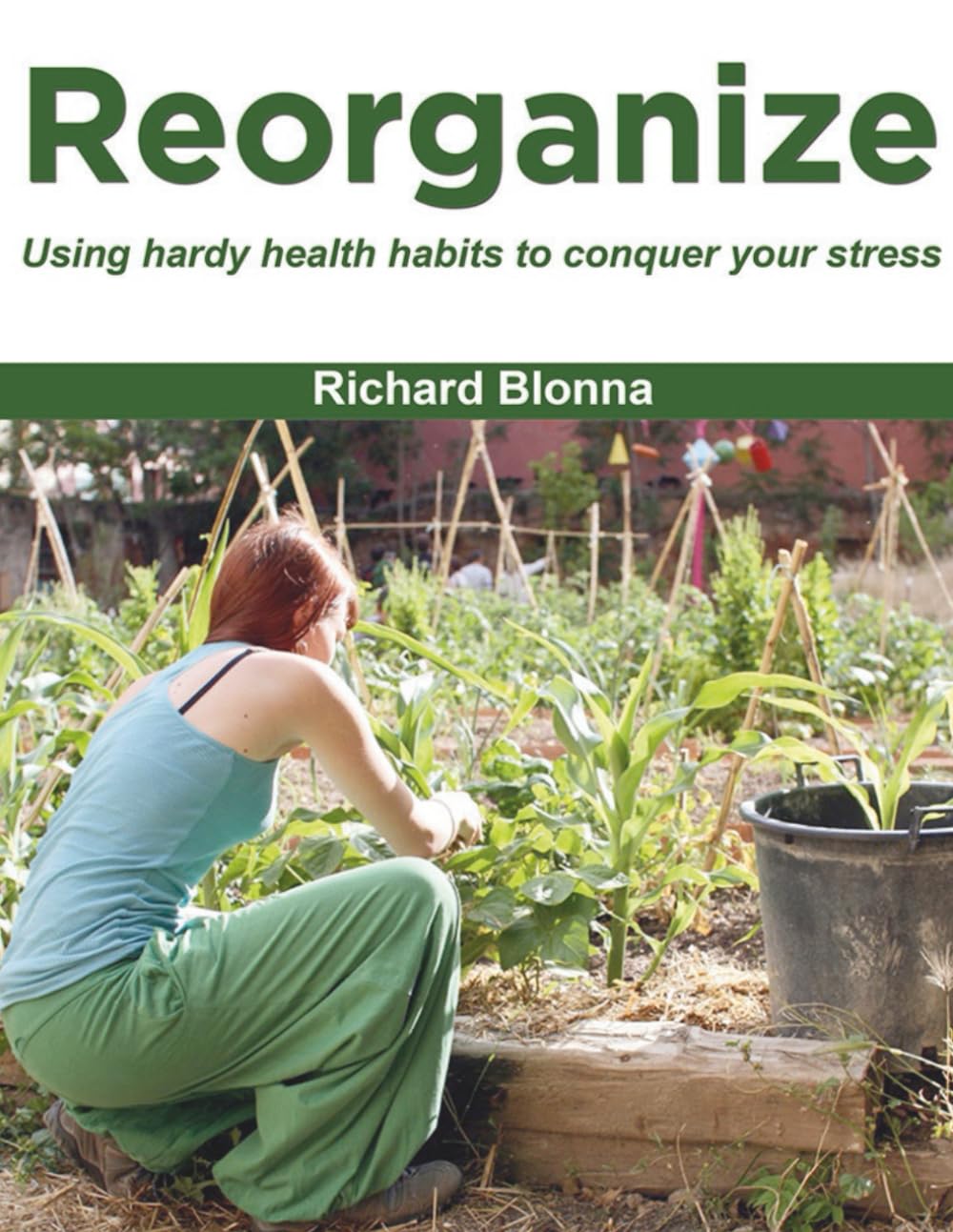 Reorganize: using hardy health habits to conquer your stress (Conquering Your Stress With the Five R's)