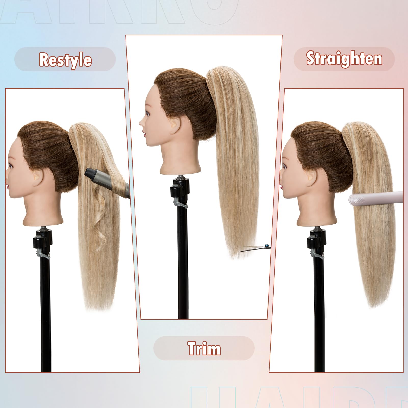 その他 LP Pony Tail Greeting Cards ETP72211 EXPRESS /00260 Amazon.co.jp: GREETING CARD(紙ジャケット仕様): ミュージック