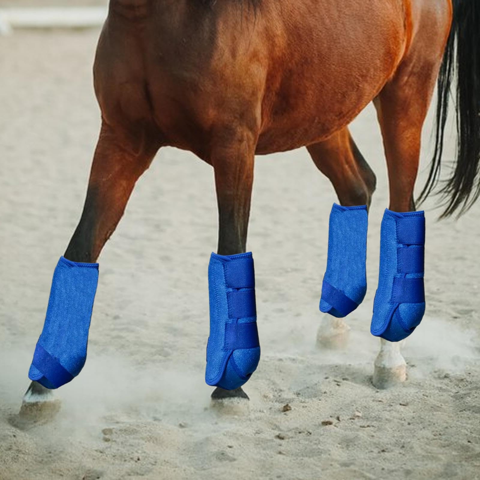 Yiju Set of 4 Equestrian Horse Boots for Leg Coverage and Support, Blue, L