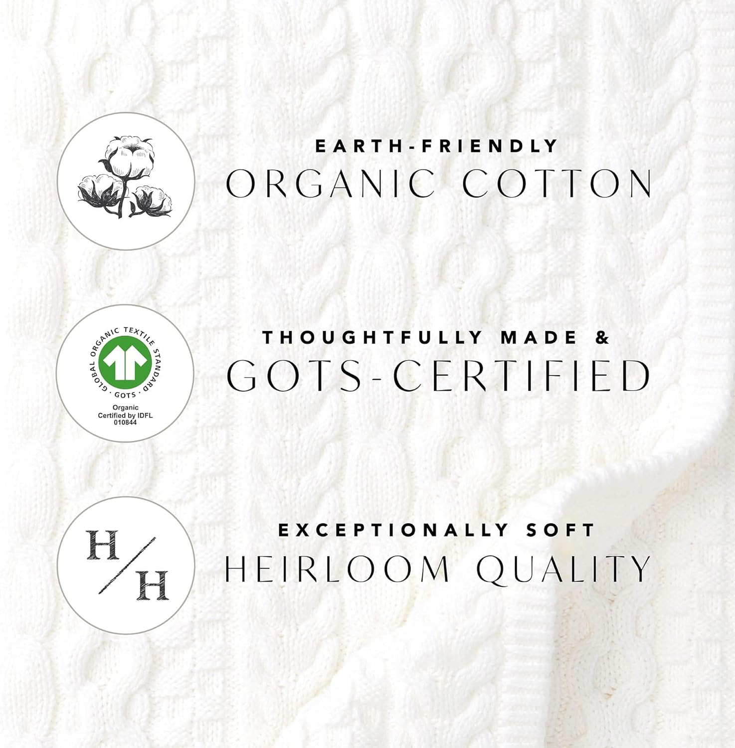 Poplin Button Down Shirt - Image 7