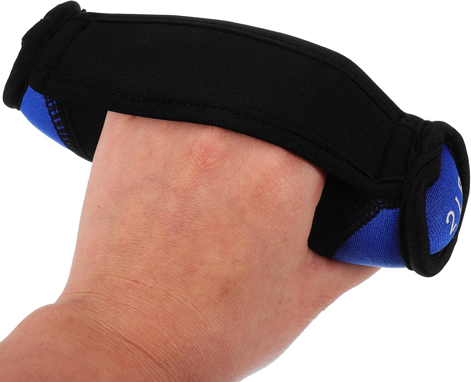 Soft Dumbbells 2lb Pair Blue Running Hand Weights Fitness Sandbag Dumbbell Equipment for Home Exercise Body Shaping and Arm Toning