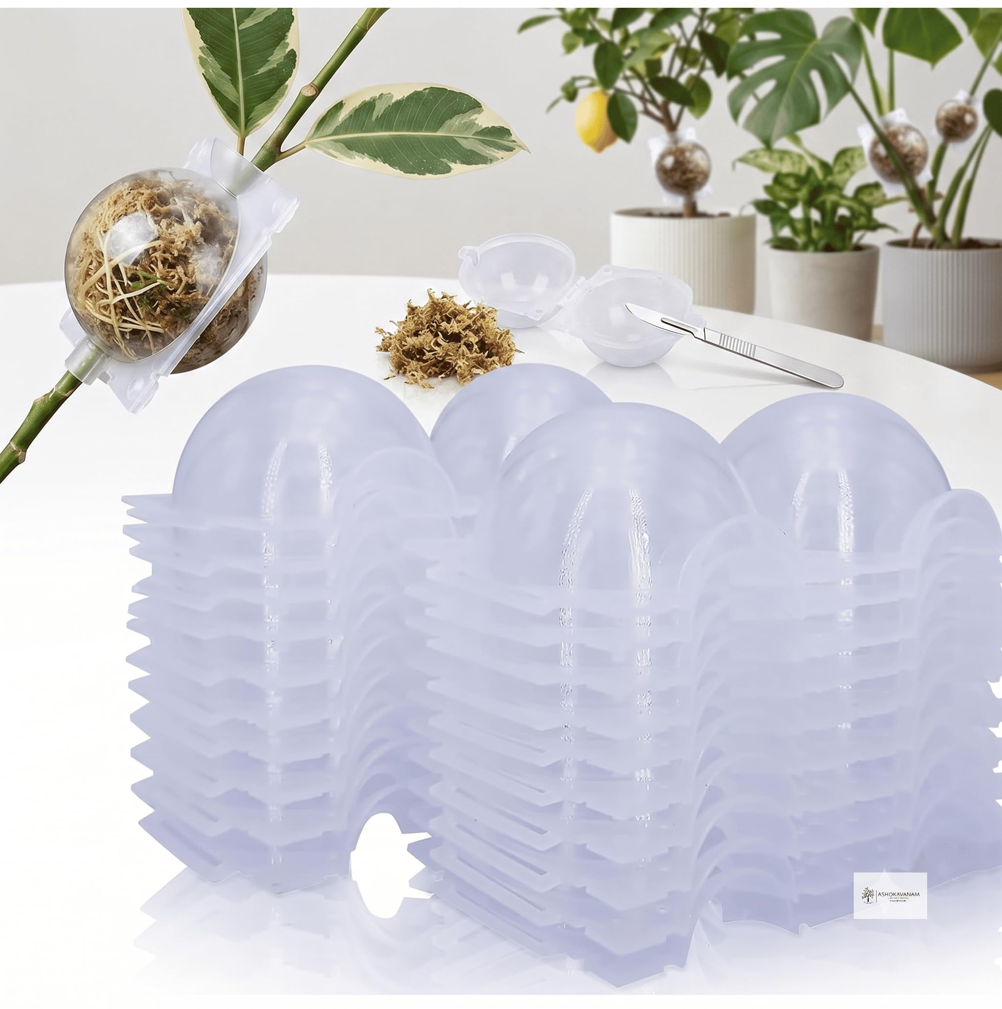 Plant Rooting Ball Reusable Air Layering Propagation Ball for Grafting, Root Growth & Cutting Propagation – Transparent Plastic Root Growing Box with Secure Lock for Indoor & Outdoor Plants-image-33