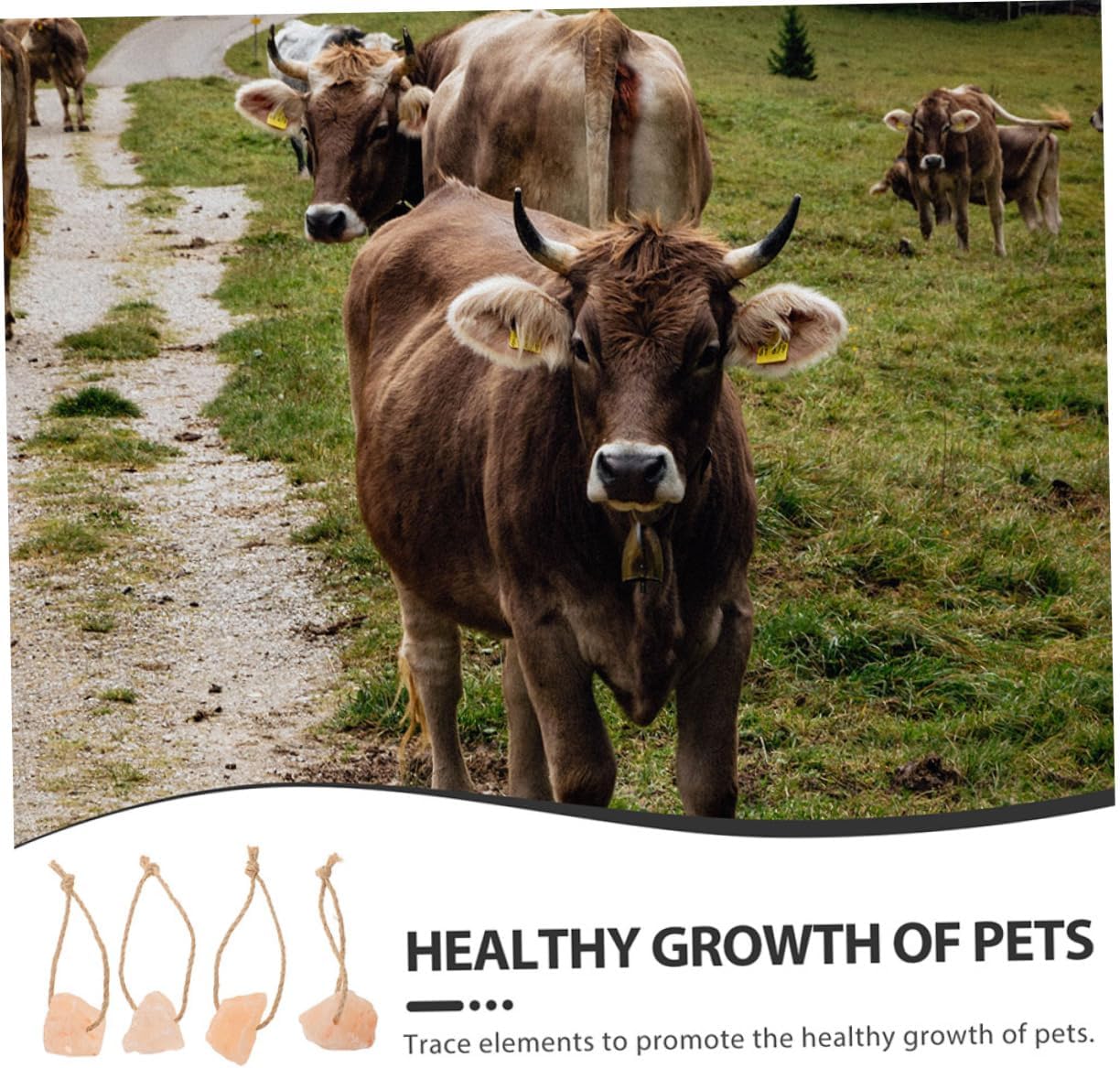 BESPORTBLE 12pcs Salt Lick Blocks Cows Deer Mineral Rich Salt Blocks with Holder Easy to Distribute Lick for Livestock