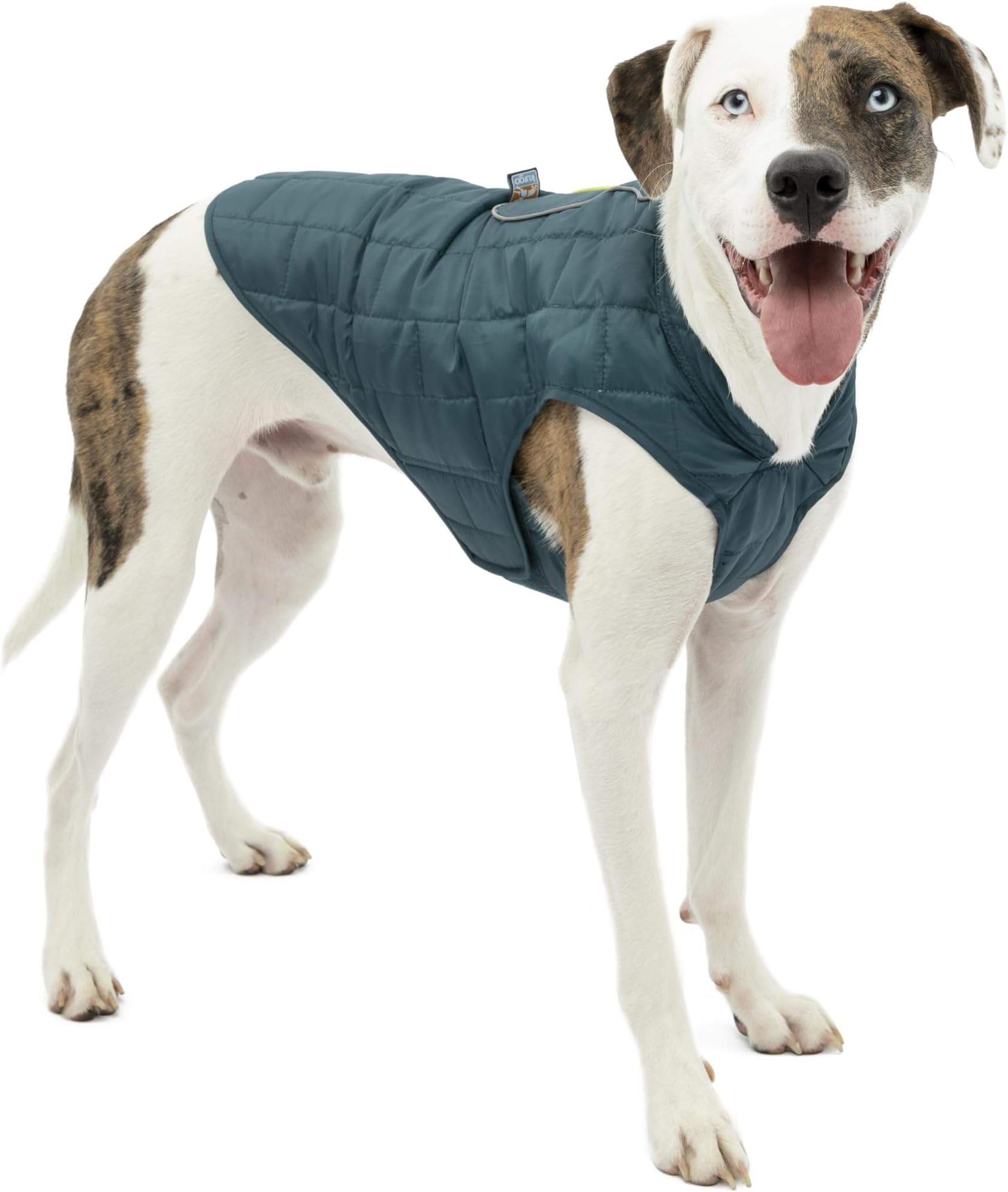 Loft Dog Jacket, Ink Blue, Medium | Reversible Dog Coat, Great for Cold Weather, Water-Resistant, Lightweight, Reflective Trim, 2-Way Zipper for Harness Access