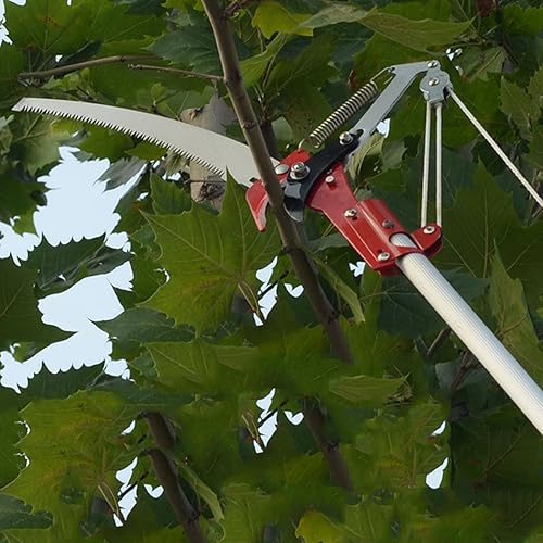 Miniatura 3 de Sierra de podadora de árboles de 14 pulgadas sin poste, 4 ruedas afiladas para podar árboles, cosechadora de frutas, sierra de poste y recortadora