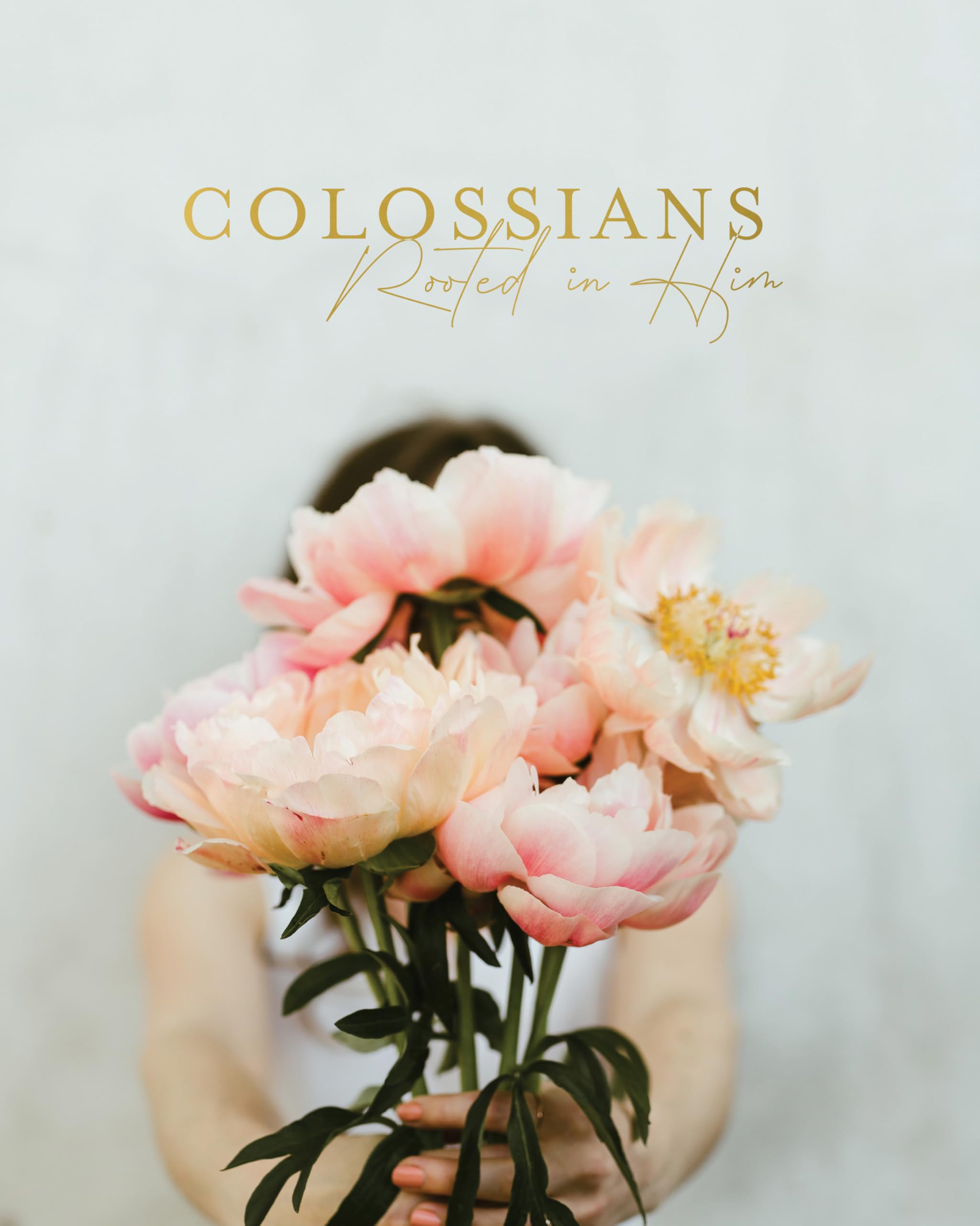 Colossians Bible Study | Rooted in Him