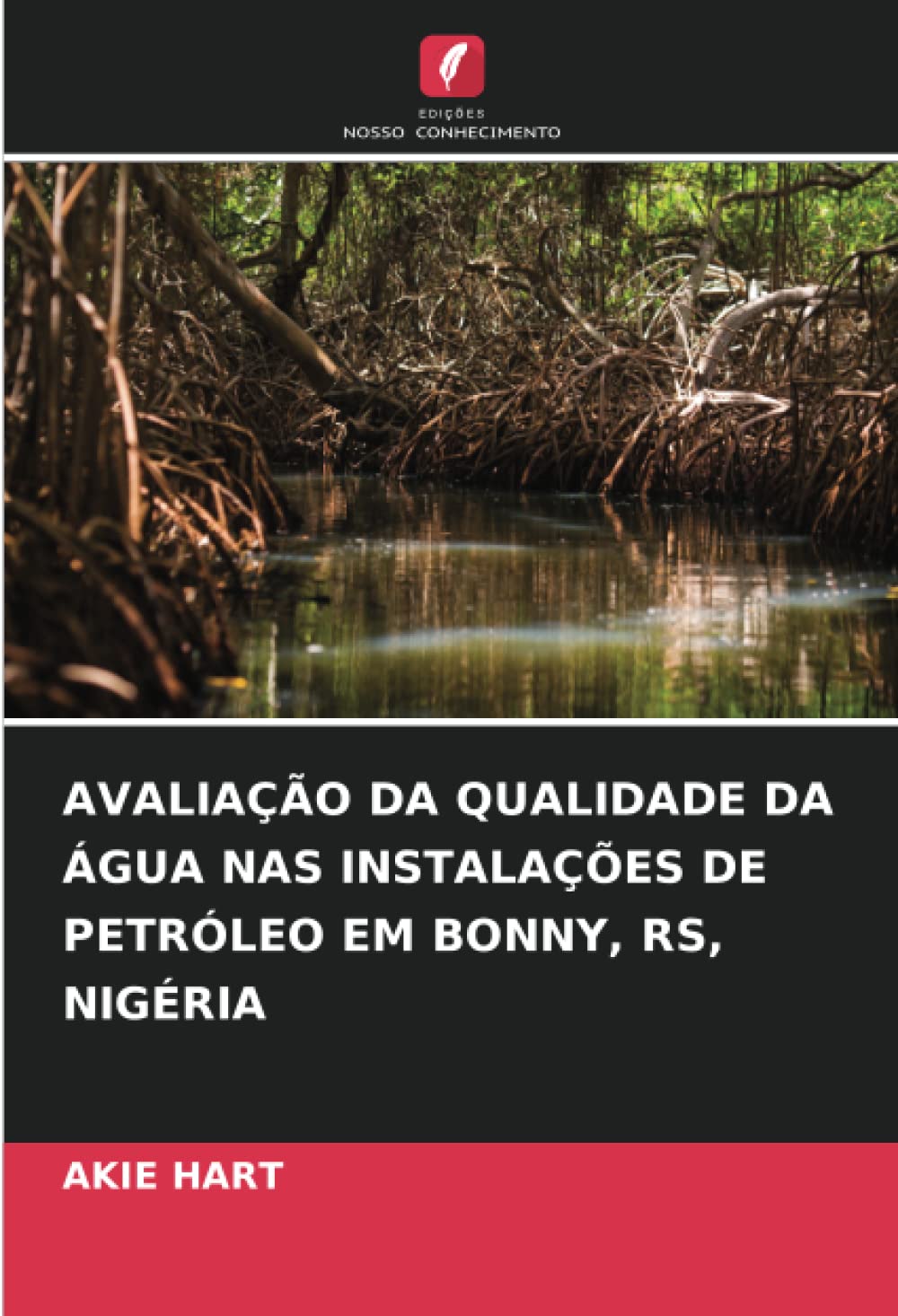 Qualité de l'eau à Bonny Nigeria livre d'analyse environnementale pétrolière