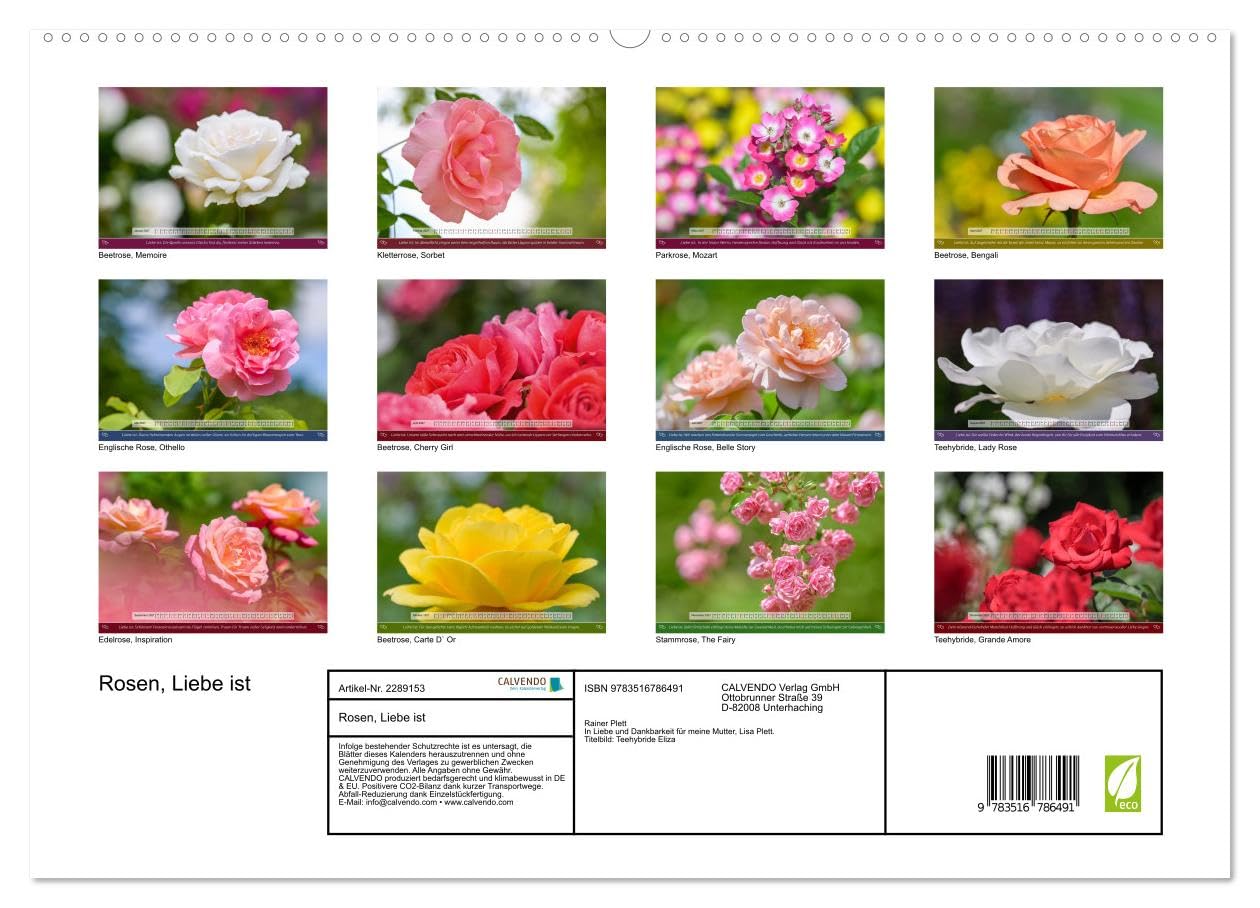 Rosen, Liebe ist (hochwertiger Premium Wandkalender 2027 DIN A2 quer), Kunstdruck in Hochglanz: Rosen und Poesie, ein Füllhorn an Liebe über das Jahr. (CALVENDO Natur)