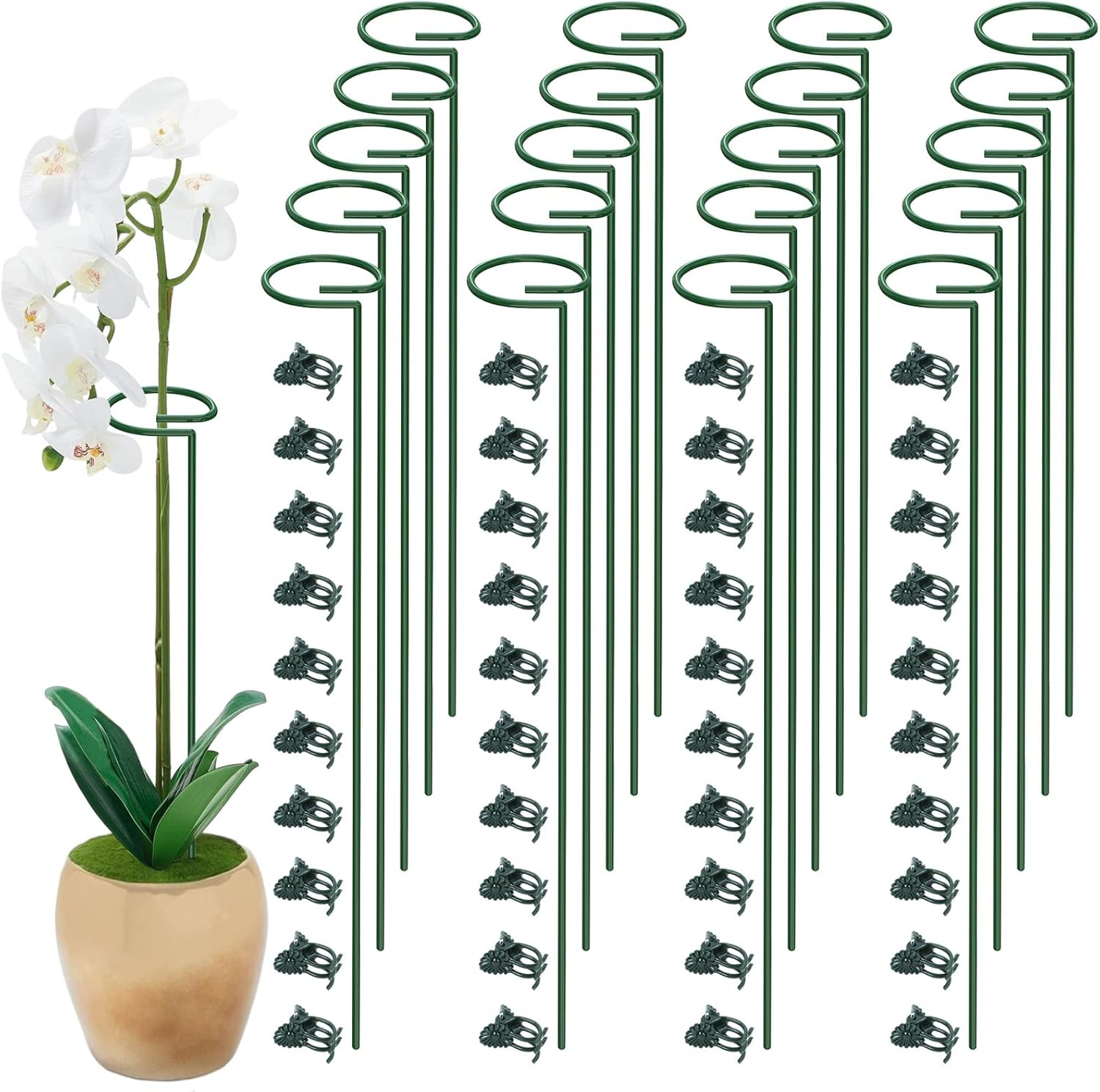 Unves 20 Pack Plant Stakes, 15.8 Inch Green Single Stem Flower Garden Plant Support with 40pcs Plants Clips, Plants Cage Support Rings for Tomato Amaryllis Orchid Peony Rose