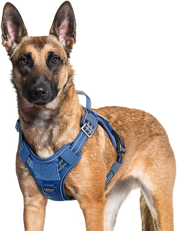 Peitoral tático vest para cães grandes rabbitgoo com ajuste personalizável e sistema MOLLE (Tamanho extragrande)