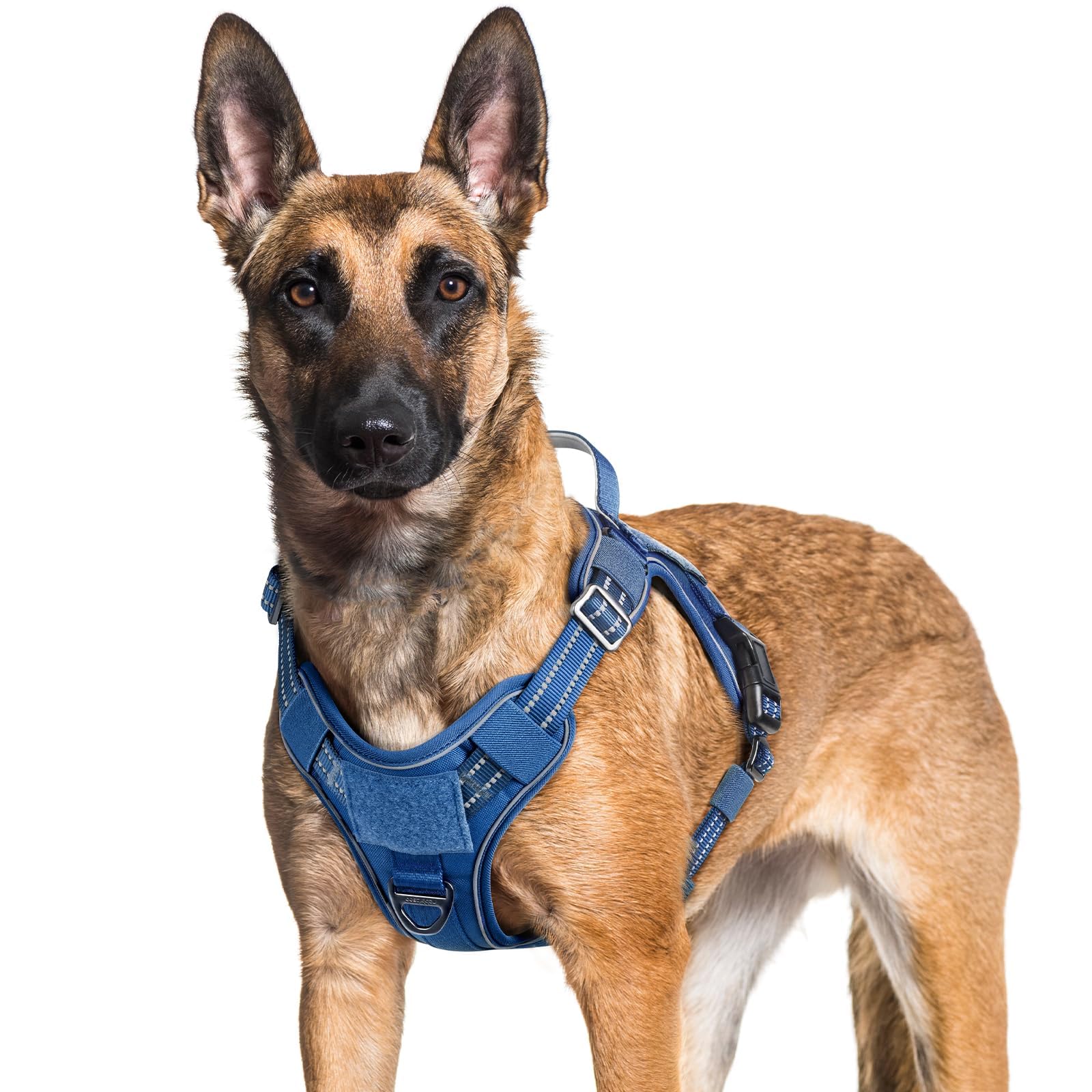 rabbitgoo Dog Harness for Large Dogs No Pull, Tactical Service Pet Vest with Molle and Control Handle, Adjustable and Reflective Military Harness for