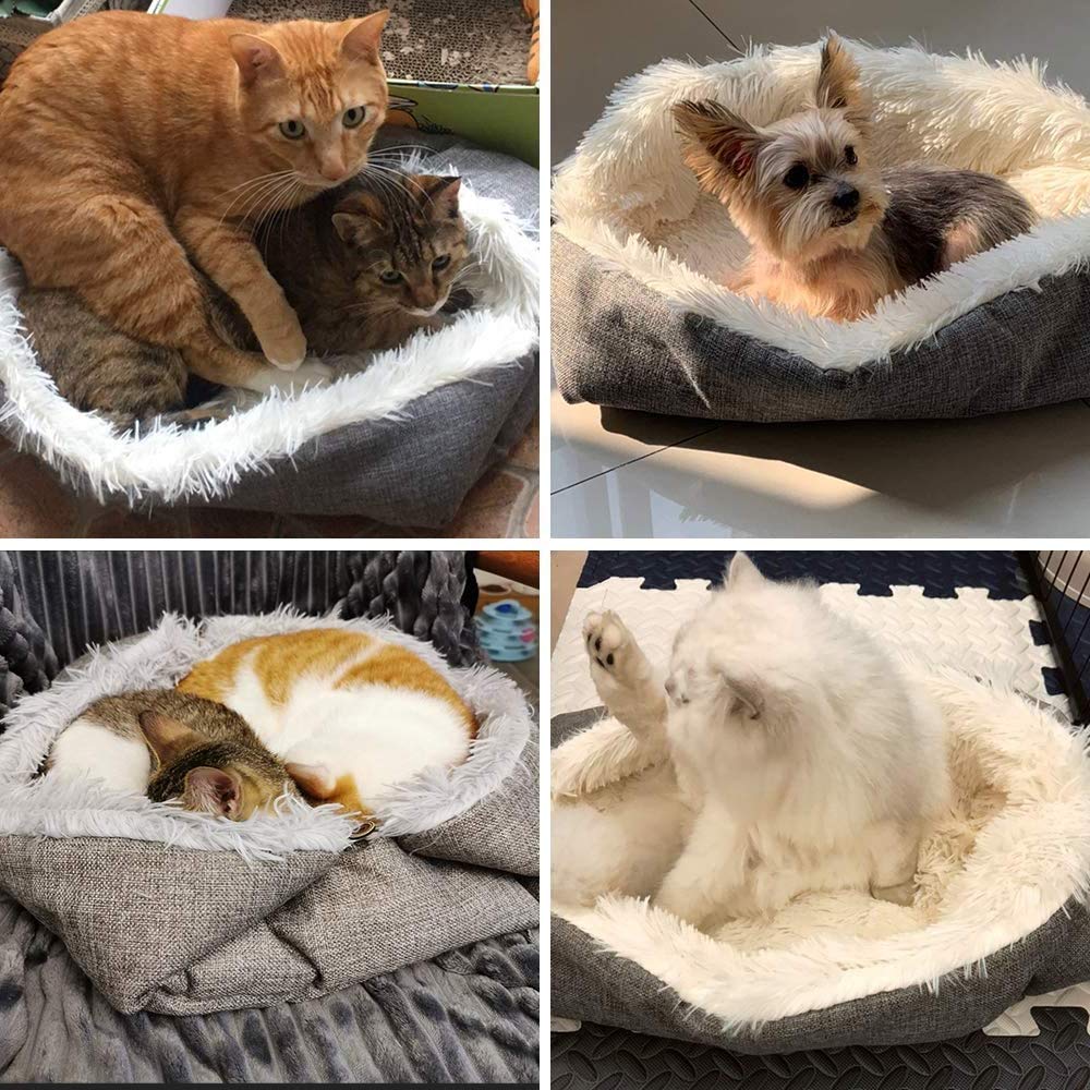 Katzenbett Haustierbett für Katzen kleine Hund Waschbare 2 in 1 Katzenbett Plüsch Weich Schlafen KatzenbettHundebett Katzensofa Flauschiges Matte Katzendecke(Grau)