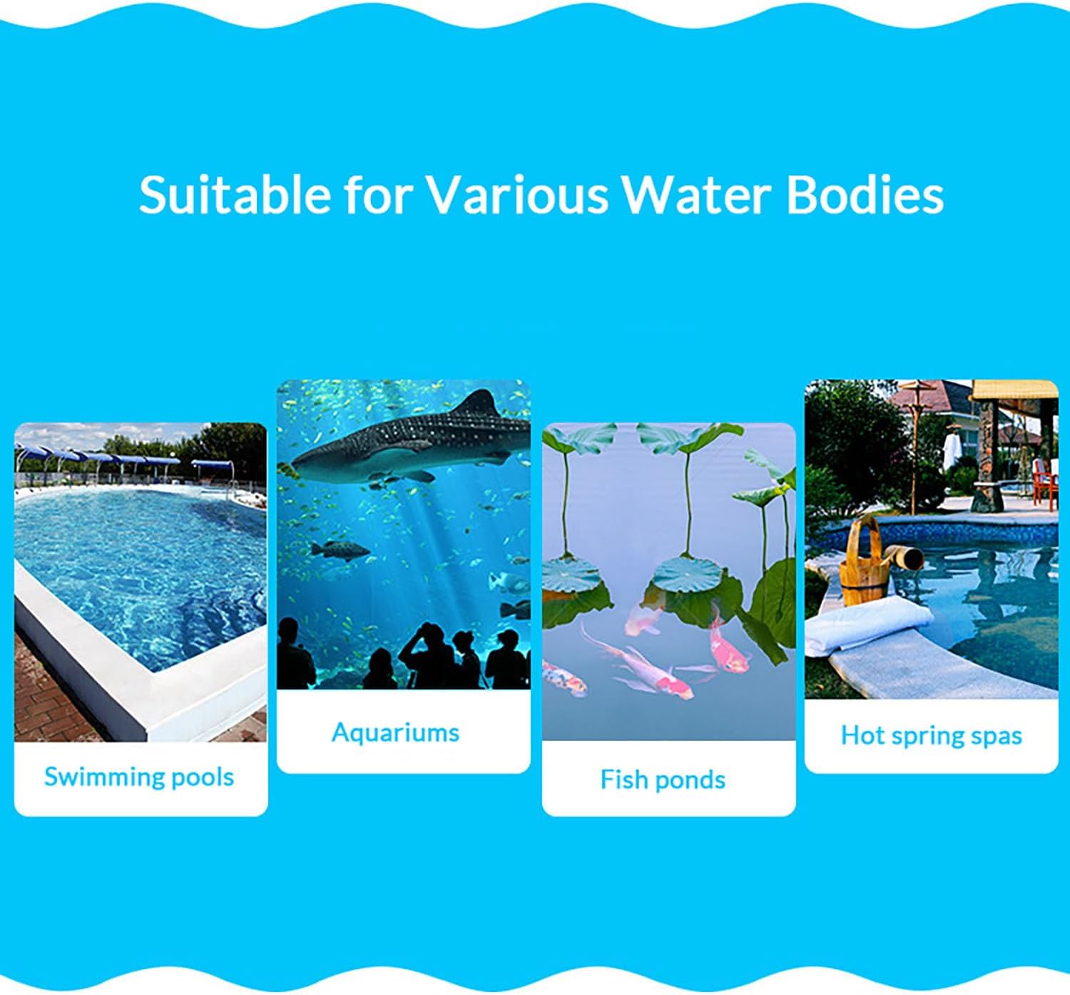 Pool Vacuum Head 14 Inch with Side & Bottom Brushes, Heavy-Duty Pool Vacuum Cleaner Replacement Accessory for In-Ground and Above-Ground Pools, Fits Standard 1.5 inch Pole (Pole NOT Included)