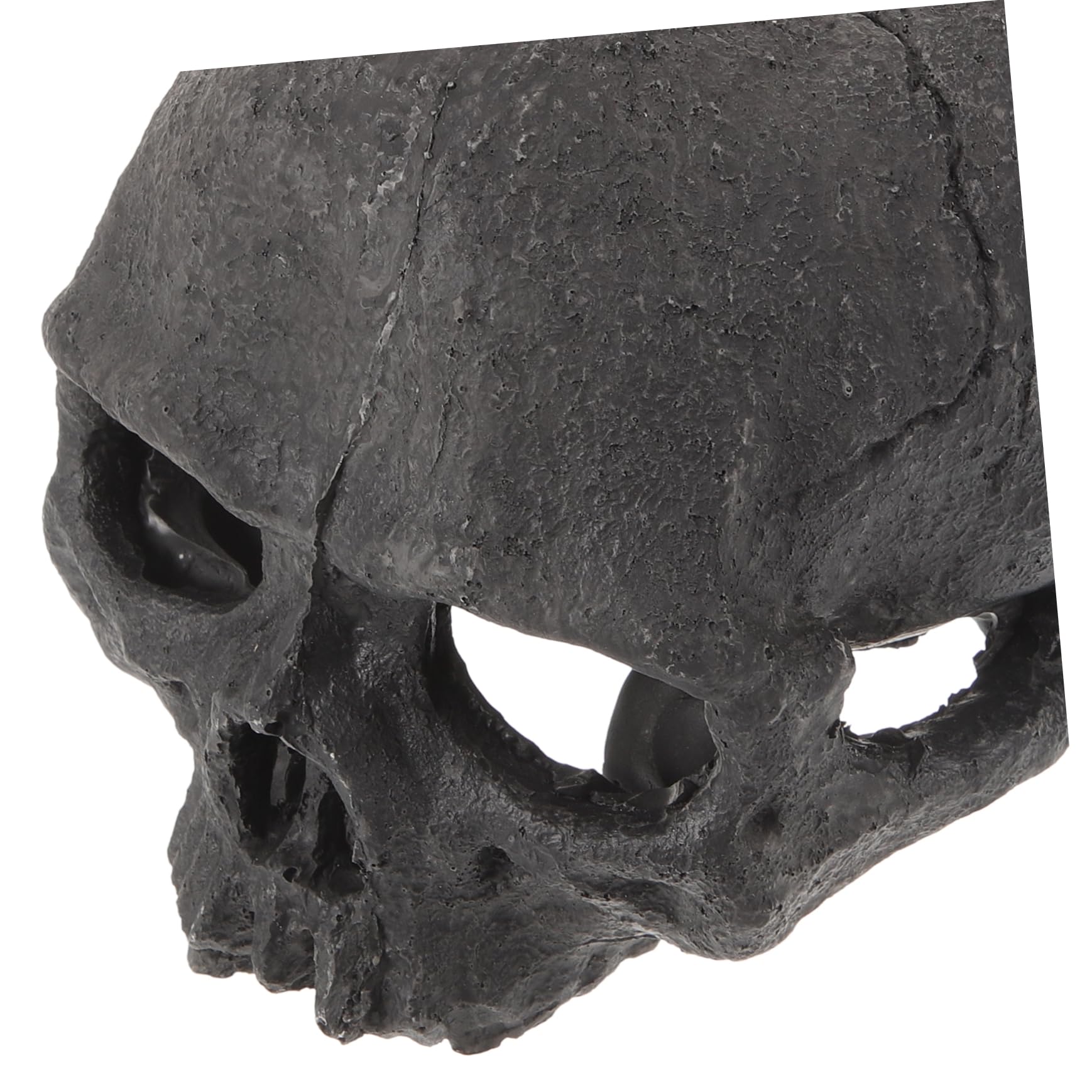OUNONA Lot De 4 Têtes De Mort Décoratives pour Aquarium Tête De Mort Sirène Lézard Poissons Tropicaux Accessoires pour Aquarium Faux Reptiles Squelette en Résine Noire