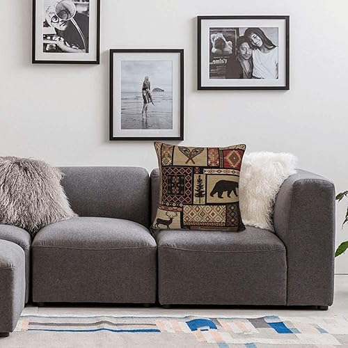 Miniatura 7 de Juego de 2 fundas de almohada cuadradas de 18 x 18 pulgadas, fundas de almohada decorativas de terciopelo suave, fundas de cojín cuadradas (17.7 x