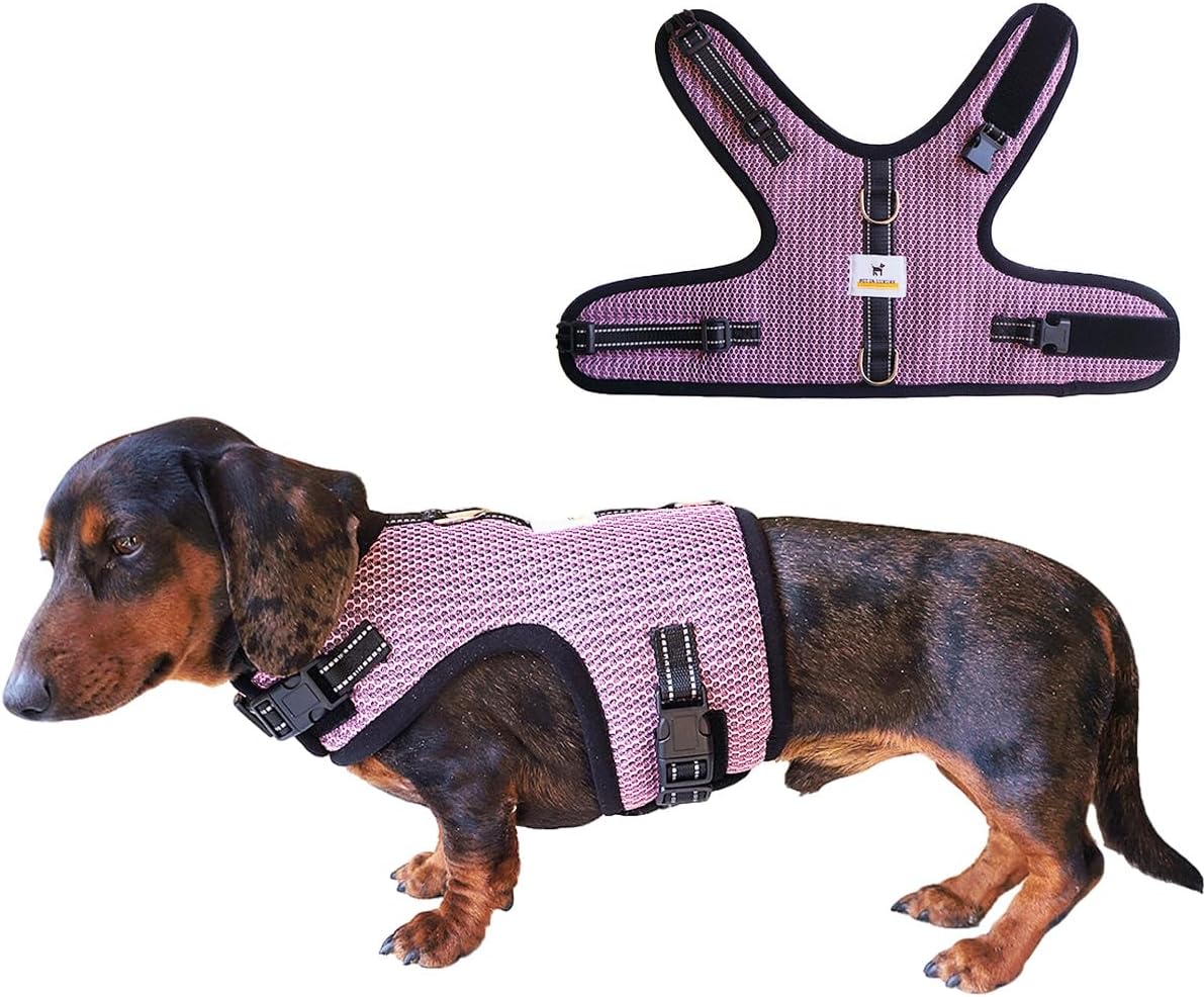 Mini Dachshund Harness Vest, No Pull & No Armpit Rub Dachshund Harness, Escape Proof Adjustable Dog Harness for Walking (Pink, M:Chest 16.5"-20.5 “” /42-52cm”)