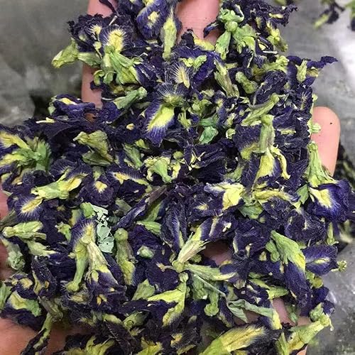 Miniatura 4 de Guisante de mariposa orgánico/flor de guisante de mariposa/guisante de mariposa azul puro secado Clitoria Kordofan Pea Dok Anchan Die Dou Hua