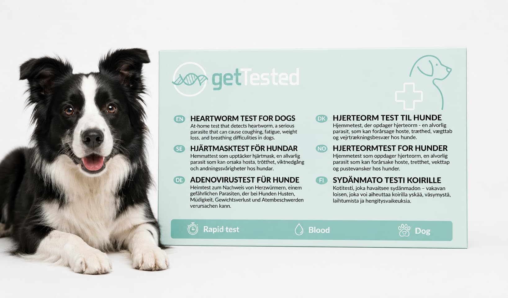 getTested Heartworm Test for Dogs – At-Home Rapid Test Kit, Detect Dirofilaria immitis, Fast Results, Easy to Use Pet Health Check