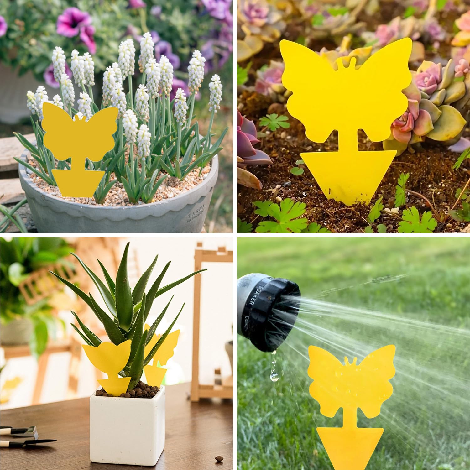 GeekerChip Pièges à Insectes,12 Pcs Attrape Moucheron Plantes,Attrape Mouches Intérieur,Plug-in Pièges,pour Les Insectes intérieurs et extérieurs, Imperméables et Non Toxiques(2 Formes)