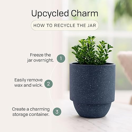 Miniatura 5 de Paddywax National Parks - Vela perfumada de cera de soja artesanal fabricada en los Estados Unidos, tarro de cerámica texturizada de 11 onzas,