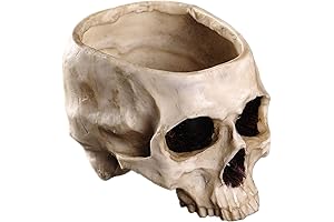 Styrofoam Skull Flower Pot: A Unique and Eye-Catching Statement Piece