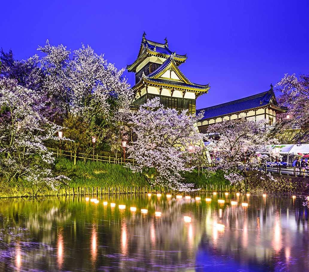 DIY 5D Diamond Painting Kit Koriyama Castle Nara Japan Kyoto Ancient Asia Cherry Japanese 16" X 20" Adult Full Drill Rhinestone Cross Stitch Art Crafts for Home Decoration