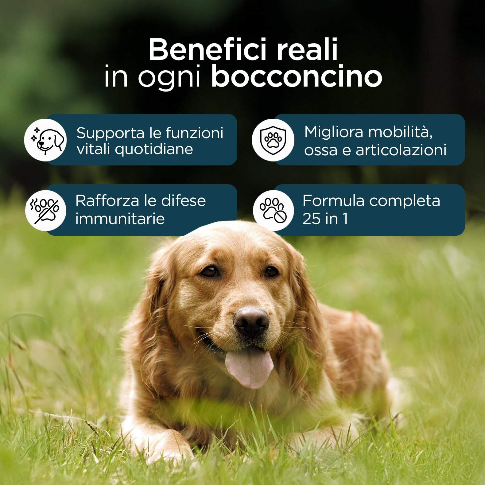 Multivitaminico per Cani 25 in 1 | Integratore Naturale Completo con Vitamine e Minerali | Supporto Immunitario, Energia, Pelo, Articolazioni |100 Bocconcini Gusto Manzo