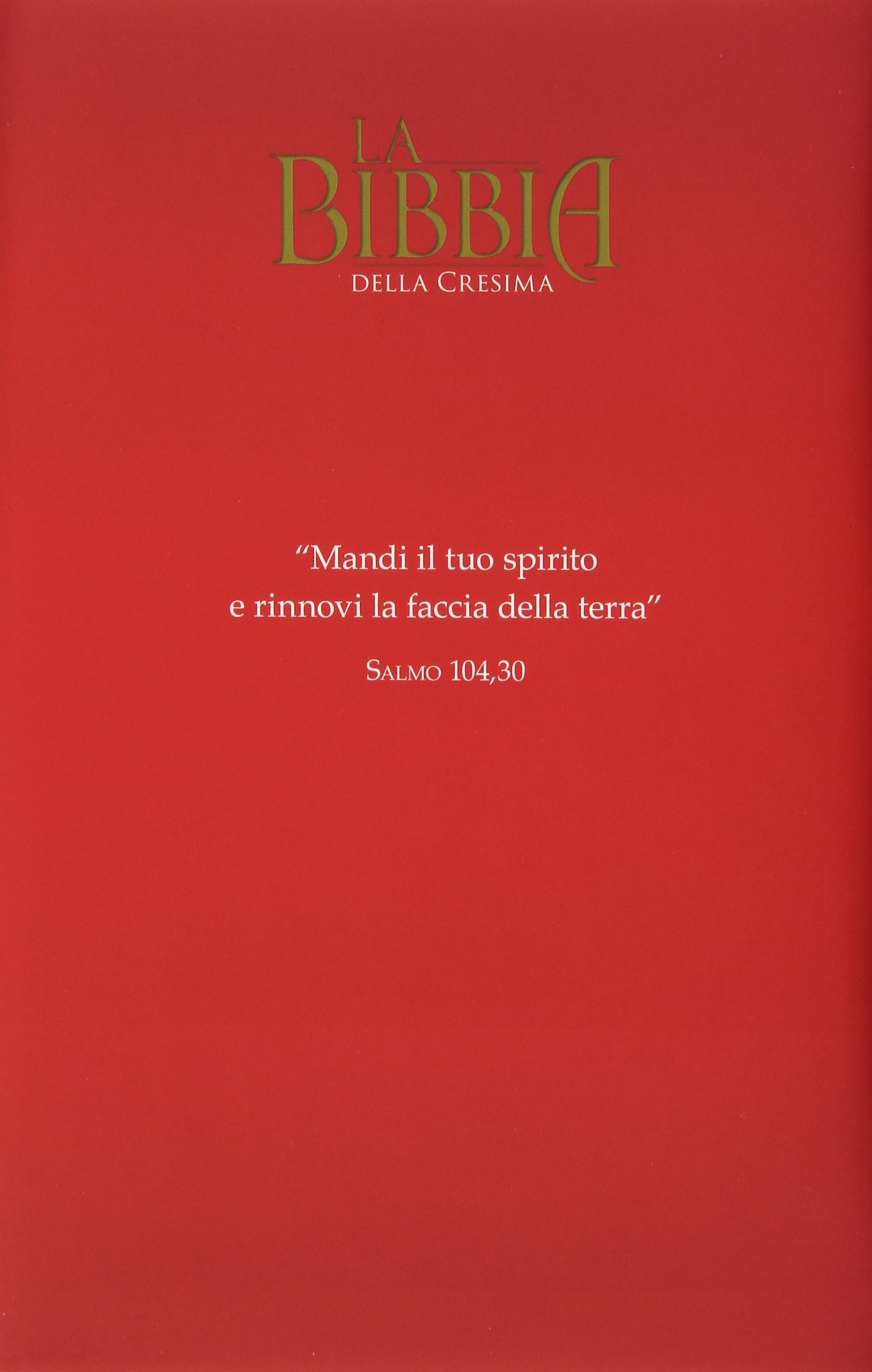 La Bibbia della cresima. Ediz. speciale
