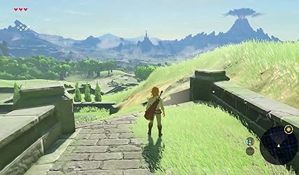 Immagine del cliente