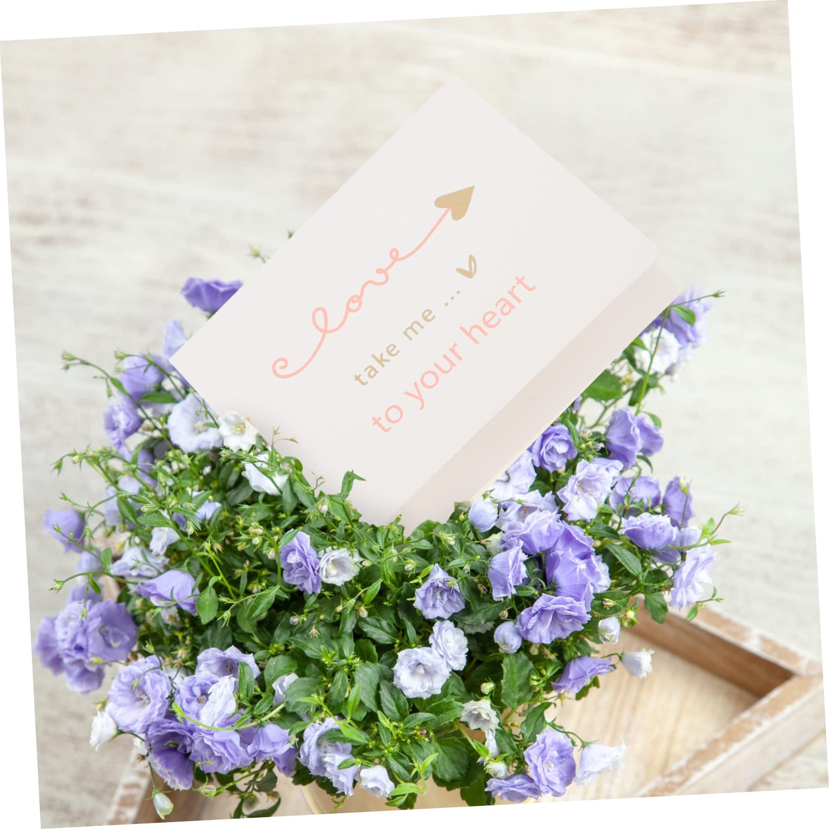 160pezzi Biglietti Di Auguri Per Festività e Compleanni Cartoncini Colorati Per Messaggi Di Benedizione Regali Per Mamma e Occasioni Speciali