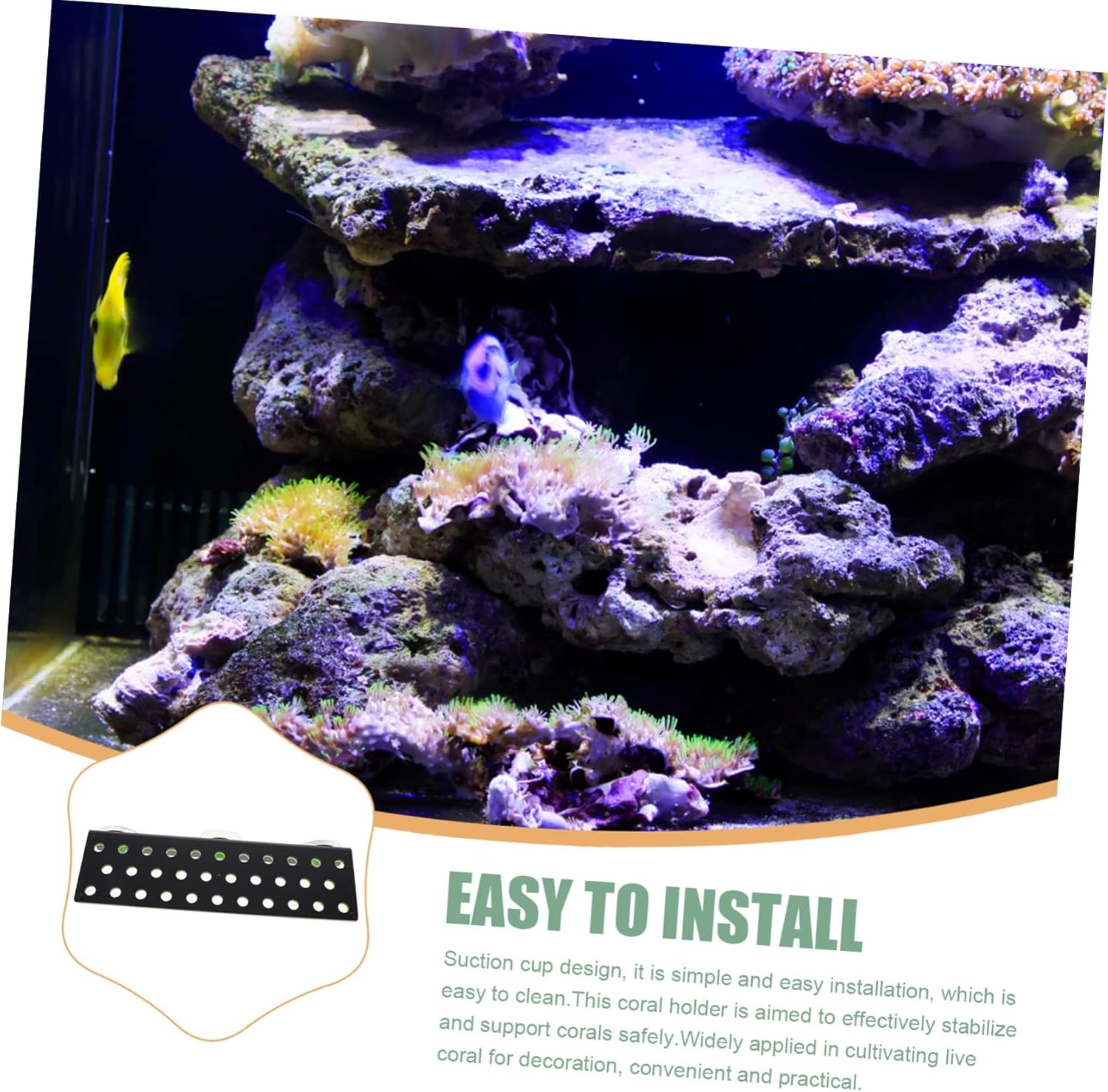 Coral Rack Aquarium Ornament 32-Pocket Acrylic Holder Break Resistant for Fish Tank Accessories