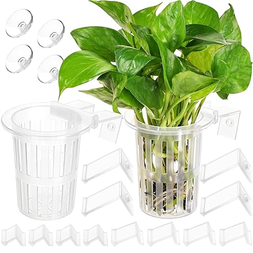 2025 New Upgraded Large Aquarium Plant Holder with 1.57-inch Extension