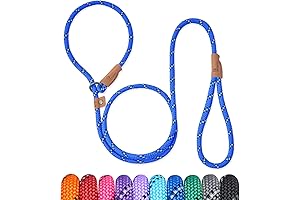 5 FT No-Pull Slip Lead Dog Leash