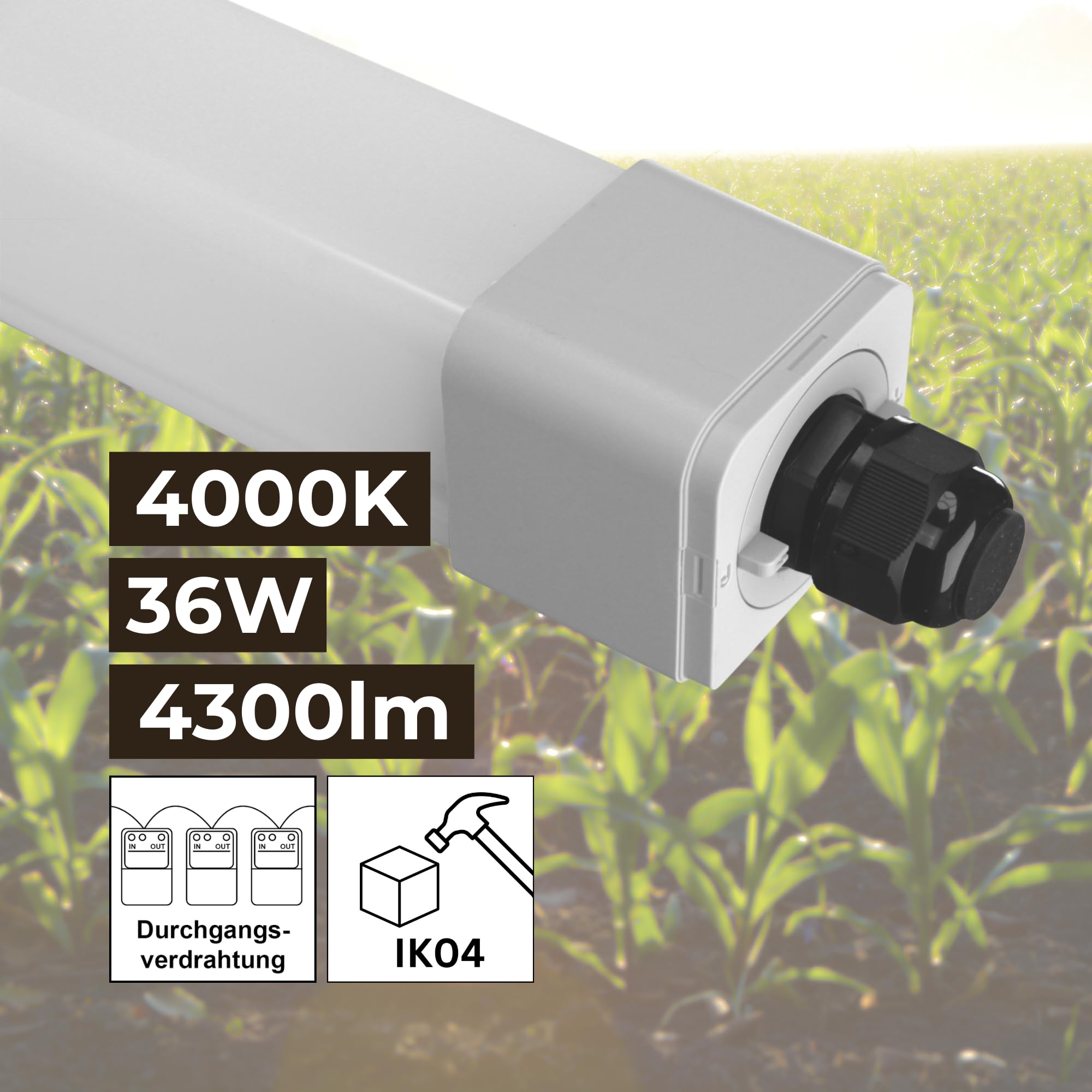 LED Feuchtraumleuchte 120cm 36W 4000K IP66 12er Set 4300lm | DLG anerkannt, Ammoniakbeständig, Agrarleuchte für Stall
