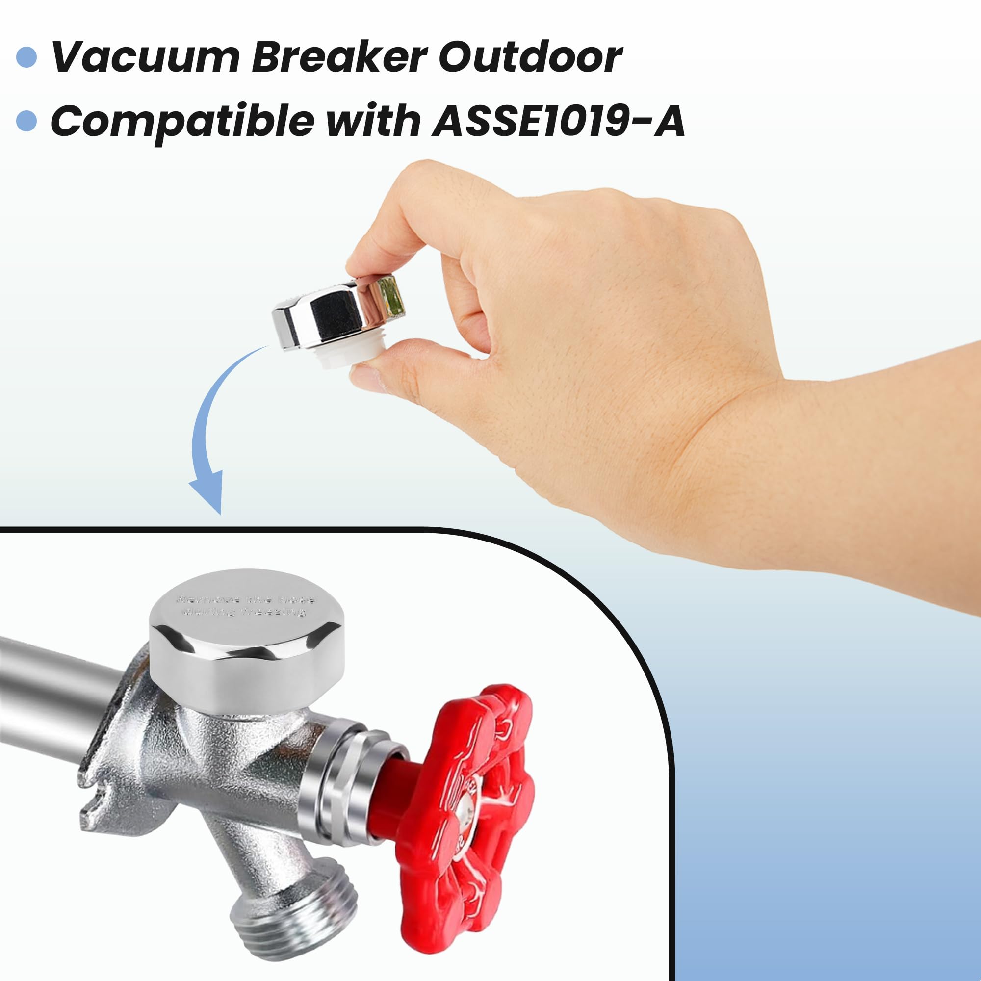Amazon.com: ASSE 1019-A Vacuum Breaker Repair Kit, Anti-Siphon