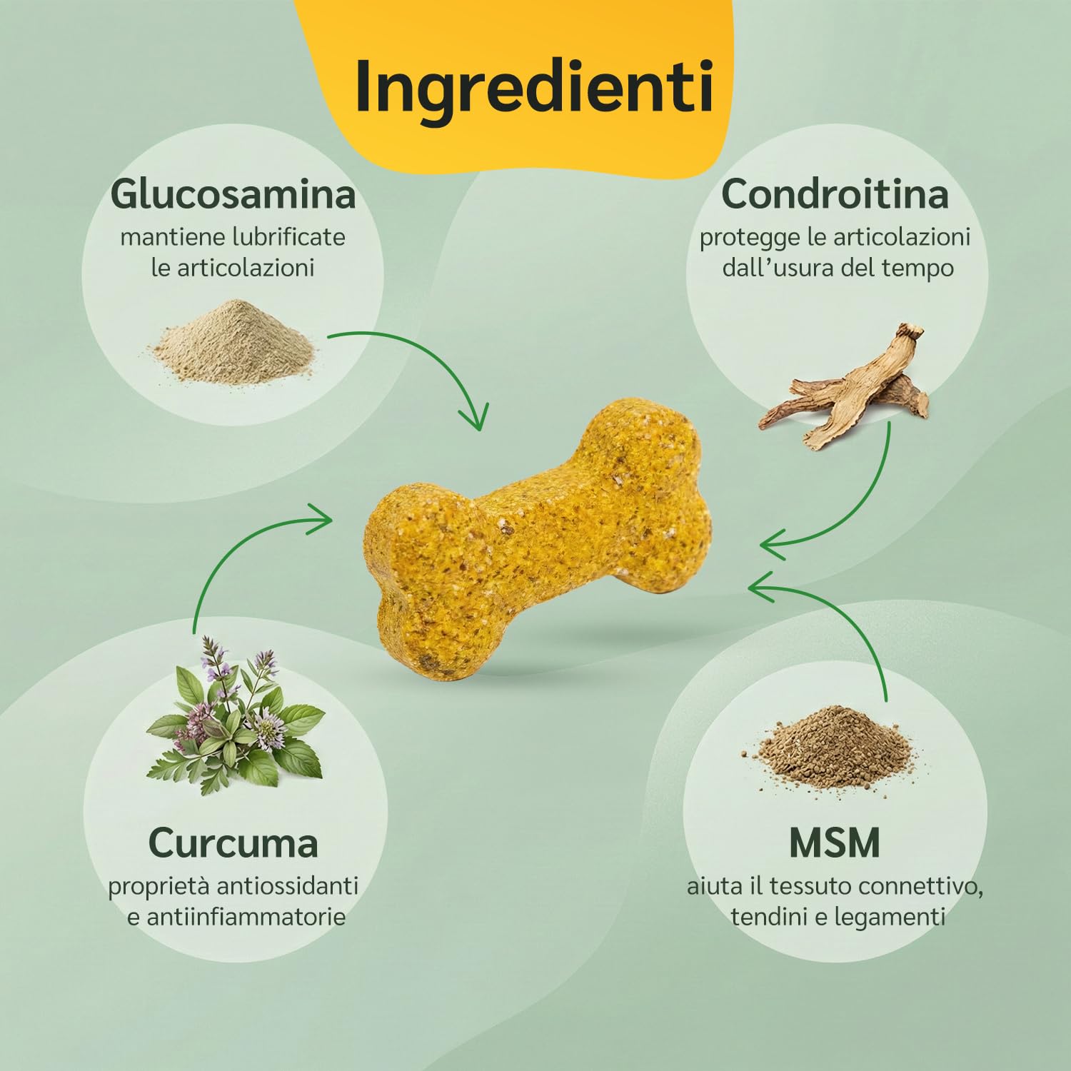 amusi Igiene Orale + Articolazioni per cani: Dentifricio in Polvere 60g con Ascophyllum e Menta per Denti e Alito + Integratore 125 Compresse con Glucosamina, Condroitina, MSM e Curcuma