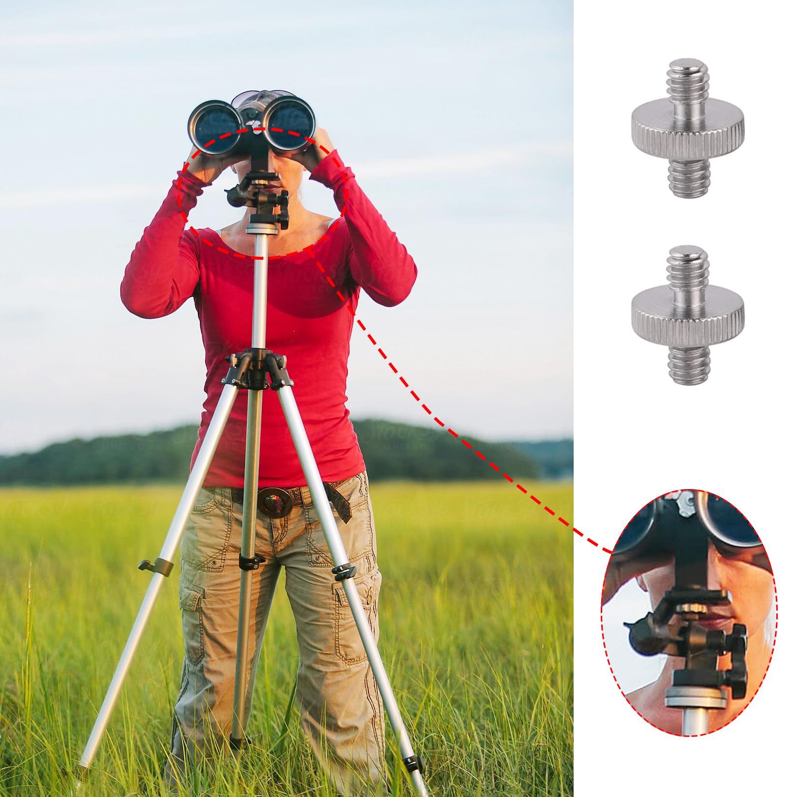2 Viti Per Treppiede Da 1/4″ In Acciaio Inox – Filettatura Standard Per Fotocamera, Monopiede E Piastre Rapide