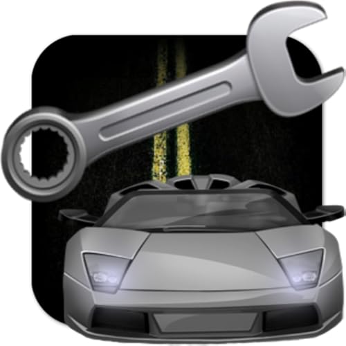 Car Maintenance & Fuel