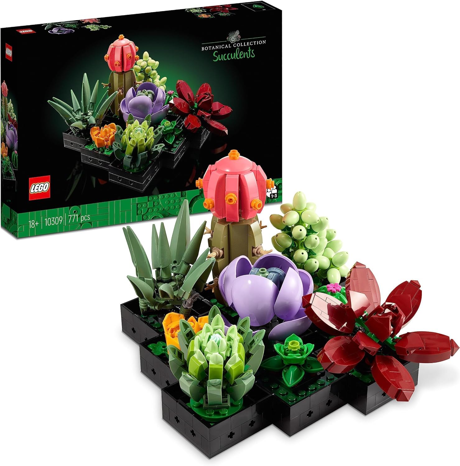 LEGO 10311 Icons Orquídeas, Flores Artificales, Decoración Casa + 10309 Suculentas, 9 Plantas Artificales, Decoración Casa, Manualidades Adultos, Colección Botánica