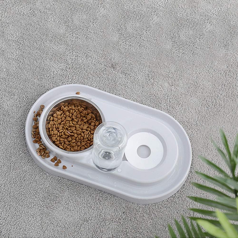 2 in 1 Pet Feeding Bowls, Automatic Water Drinking Fountain and Stainless Steel Sanitary Food Feeder